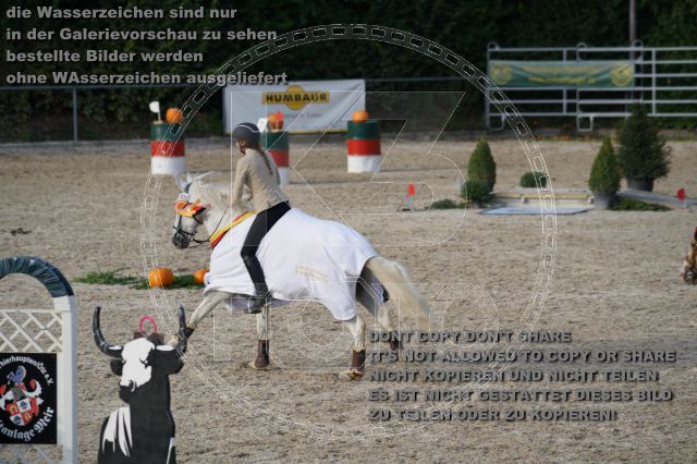 s_K3F04584.JPG